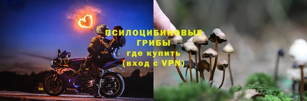 таблы Каменногорск