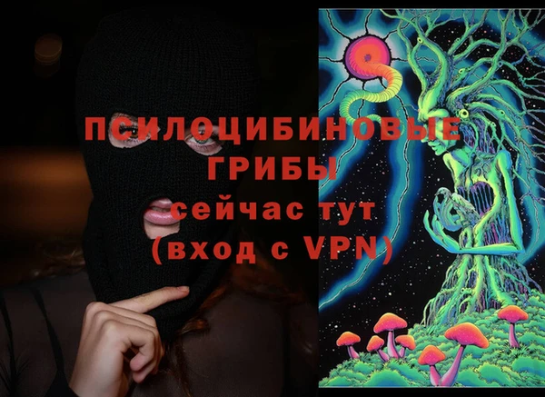 таблы Каменногорск