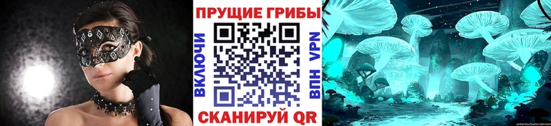 Псилоцибиновые грибы ЛСД  Ачинск 