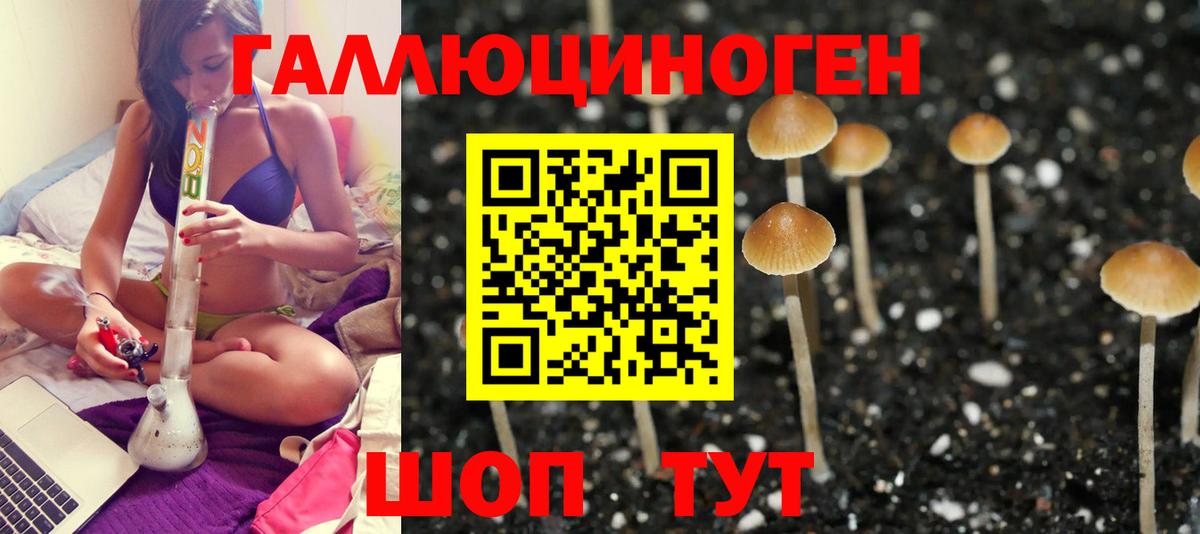 Псилоцибиновые грибы MAGIC MUSHROOMS  Вход с VPN  Ачинск 