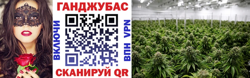 shop состав  цены наркотик  Ачинск  Каннабис сатива 