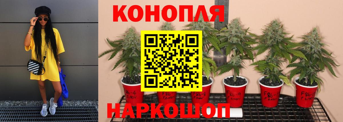 Ачинск  Марихуана MAZAR  Шишки марихуана семена  Вход с VPN  Марихуана OG Kush  Каннабис THC 21% 